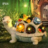 Üveges teknős kerti szukkulens