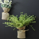 Kompakt mágneses növények Surrey