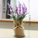 Kompakt mágneses növények Surrey