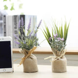 Kompakt mágneses növények Surrey