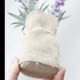 Kompakt mágneses növények Surrey