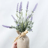 Kompakt mágneses növények Surrey