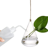 Üveges fali terrárium készlet 3 darabban